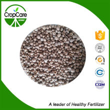 100% NPK Water Soluble Fertilzier Granular 21-21-21+Te